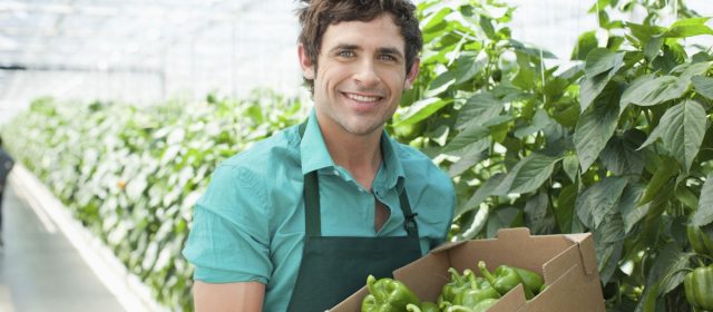 Anunț de recrutare pentru sesiuni de instruire