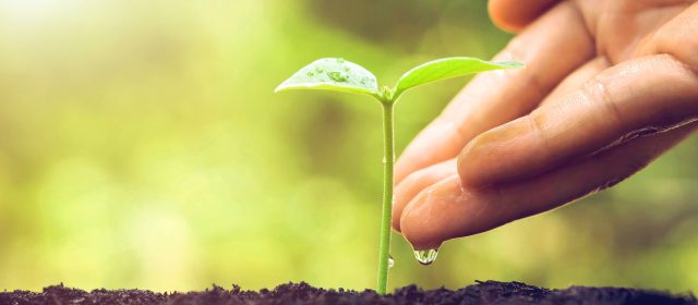 Demarare sesiuni de instruire