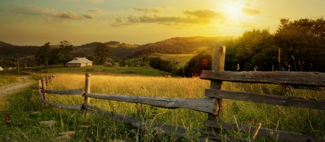 Comunicat demarare Caravana de informare